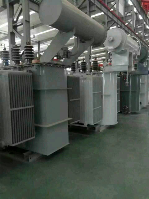 青田S11-6300KVA油浸式变压器
